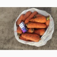 Продам морковь абака, есть 2 сорт, Каховка с холодильника