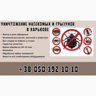 Уничтожение насекомых и грызунов в Харькове