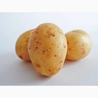Оптом картопля за низькими цінами
