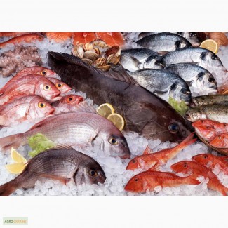 Рыба и море продукты