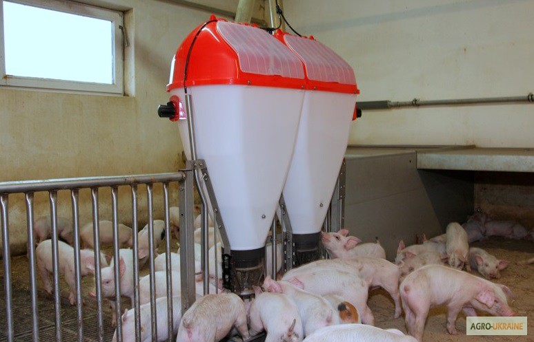 Фото 6. Кормоавтомат для свиней Tube-o-Mat