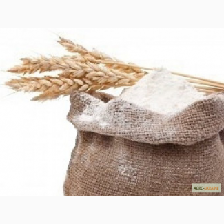 Мука оптом пшеничная высшего сорта в/с