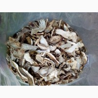 Продам білий cушений гриб