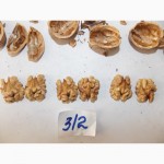 Продам саженцы грецкого ореха форм Кочерженка