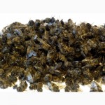 Подмор пчелиный лекарственный - 1гр за 1грн. 098 852-74-73 050 778-08-89