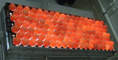 Фото 4. Инкубационные яйца Венгрия Польша Чехия (маркированные) КООБ 500 и другие породы