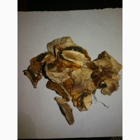 Продам гриб веселка сушеный