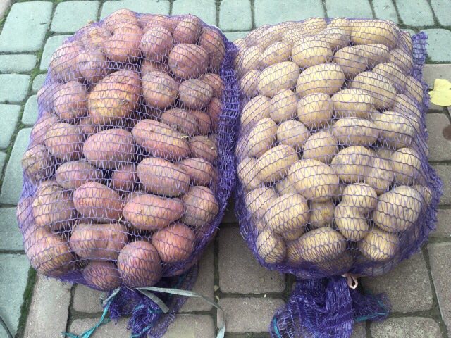 Фото 3. Продам картофель, сорта Агата (белая) и Ароза (розовая) с места