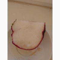 Продам редис сортов: магерланская и красная зимняя