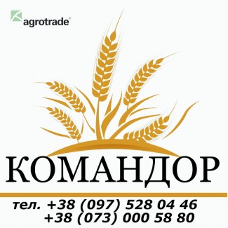 Ячмень яровой Командор, 1 репродукция от производителя