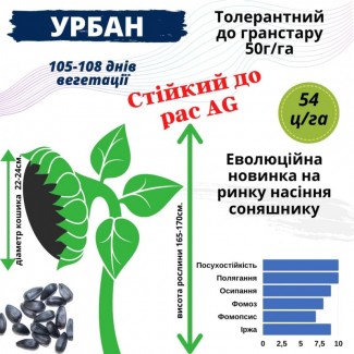 Насіння соняшника, які стійкі до трибенурон-метил 50 г/га