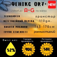 Насіння соняшника, які стійкі до трибенурон-метил 50 г/га