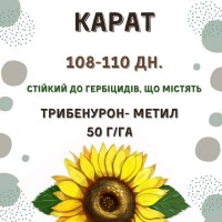 Насіння соняшника, які стійкі до трибенурон-метил 50 г/га