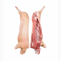 Продаємо тільки ОПТОМ свинячі туші, свинину, сало, субпродукти