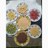 Продам кульки кукурудзяні, рисові з како порошком різні за розміром від виробника