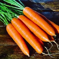 Морква свіжа куплю