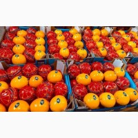 Продам апельсини оптом від 20 т (Єгипет)