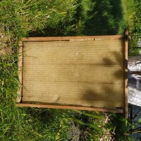 Продам бджолосім#039;ї, рамки суш
