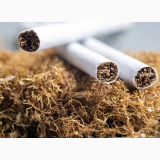 Продам тютюн/табак Вірджинія