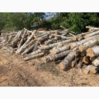Продам дрова колотые твёрдых пород
