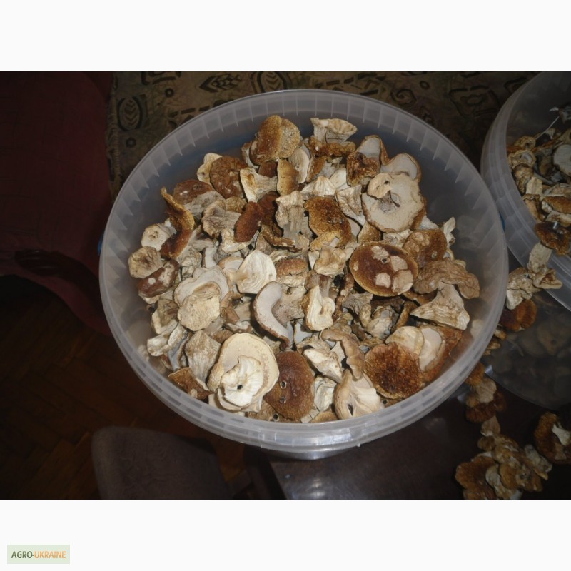 Фото 4. Цілі білі сушені гриби