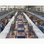 Линия по переработке мяса крупного рогатого скота