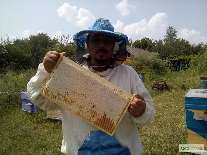 Продам Воск бджолиний натуральний, вищого гатунку (для косметології) - 7, 5 у.е. за 1кг