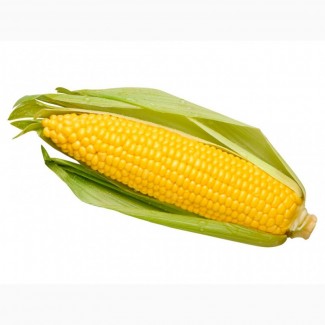 Купим кукурузу, быстрый расчет, адекватные цены