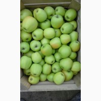 Продажа Крупных яблок (лучшая цена и качество)