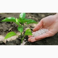 ПАТ Аграрний фонд пропонує мінеральні добрива по форвардній програмі та обміну на зерно
