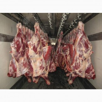 М#039;ясо яловичини, свинини опт. Субпродукти