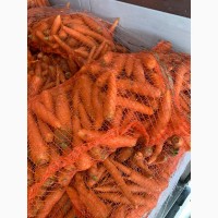Продам молодую морковь 15т