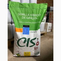 Продам гібриди соняшника CIS agro