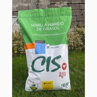 Продам гібриди соняшника CIS agro