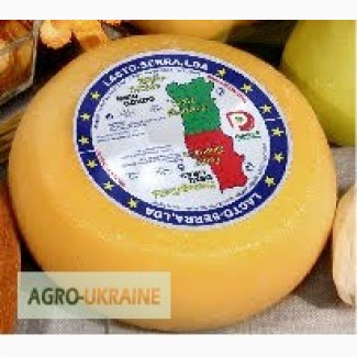 Сыр пртугальский от производителя