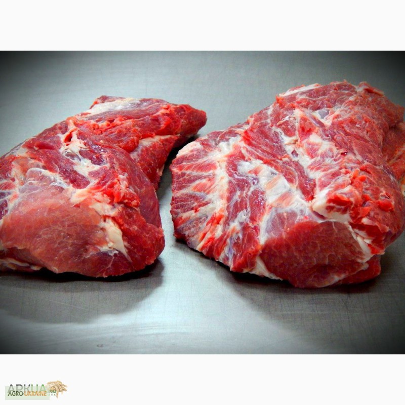 Фото 2. Продам ДОМАШНЕЕ мясо свинина, породы мангалица, 100% экологически чистое