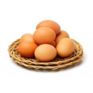 Куплю куриные яйца на экспорт