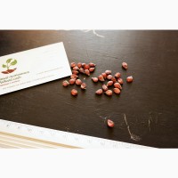 Айва семена (20 шт) для выращивания саженцев семечка насіння на саджанці + инструкция