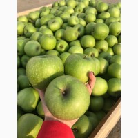 Продам яблуко: Грені Сміт, Голден Делішес, Фуджі, Ред Чіф