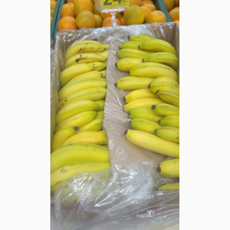 Фото 4. Надаю послуги по дозацій (газації) зеленого банана