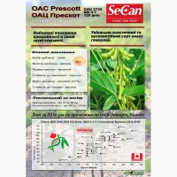 Семена сои не ГМО (Канада, Украина)