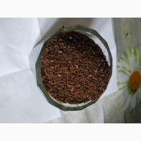 Семена махорки