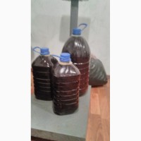 Продам гарбузову олію