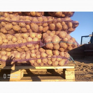 Продам картофель разных сортов