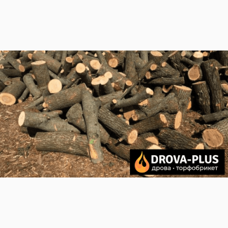 Drova-plus продаж дрова, торфобрикет Ківерці