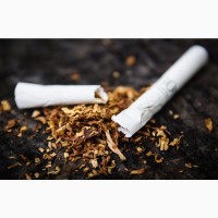 Тютюн - ВЕЛИЧЕЗНИЙ вибір - ГІЛЬЗИ - найкраща ціна