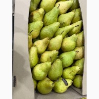 Продам груші у Києві