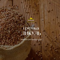 Насіння гречки Дикуль, перша репродукція