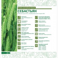 Пропонуємо насіння ярого ячменю Сєбастьян (СН-1)