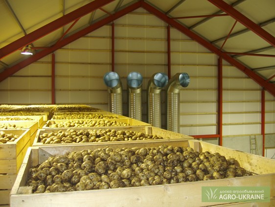 Фото 2. Хранение картофеля в контейнерах с вентиляцией и охлаждением Combivent, Комбивент